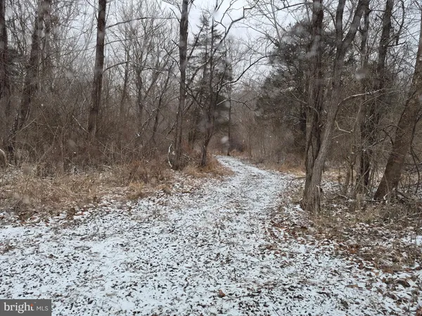 $129,900 | Low Line Road, Great Cacapon, WV 25422