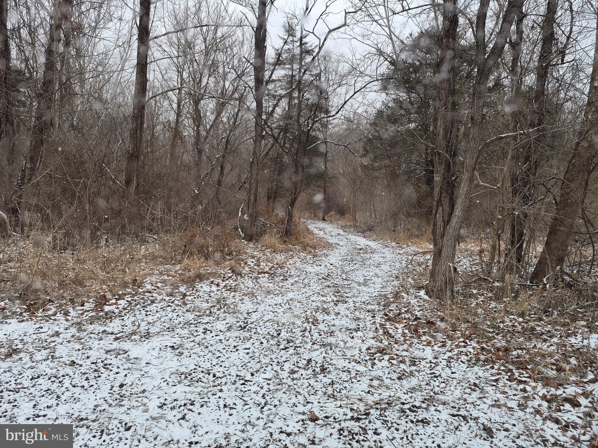 Low Line Road Great Cacapon, WV 25422 - Photo 4 of 12 Setting