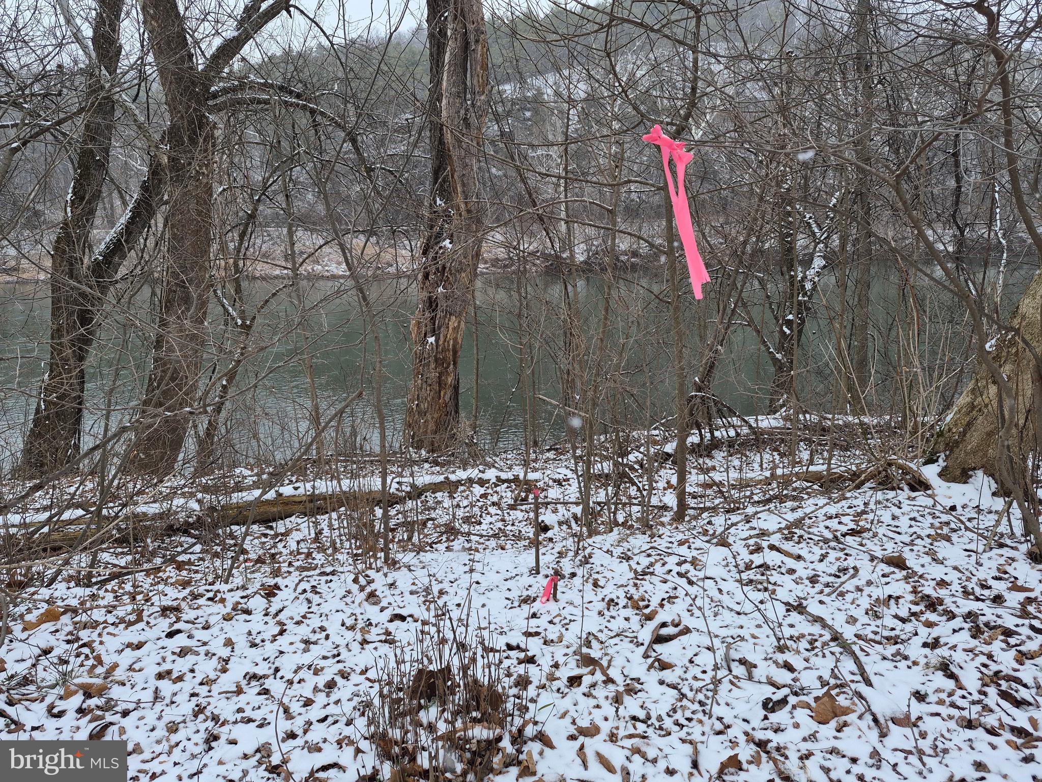 Low Line Road Great Cacapon, WV 25422 - Photo 5 of 12 River Front