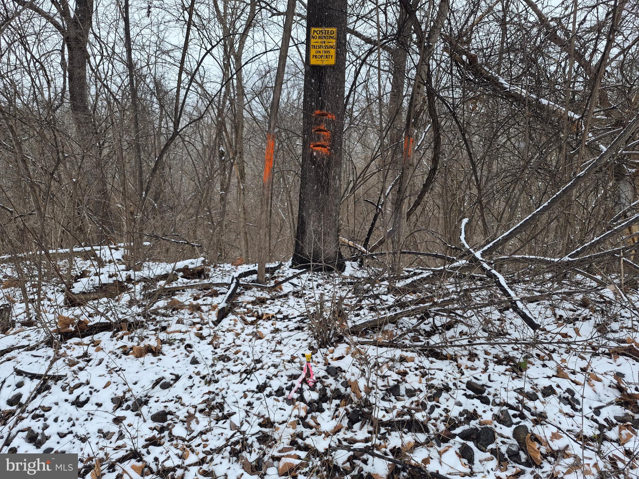 Low Line Road Great Cacapon, WV 25422 - Photo 9 of 12 Just Surveyed