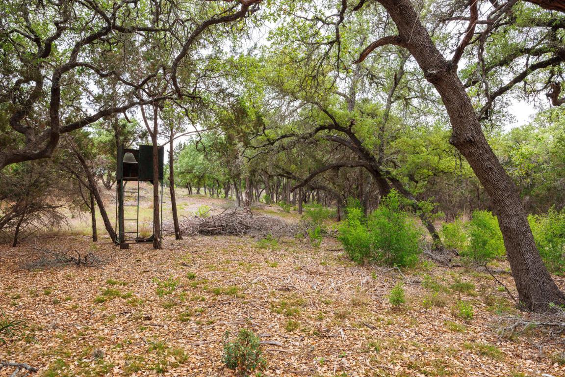 3487 Rust Spring Branch, TX 78070 - Photo 26 of 40 a view of a yard with a tree