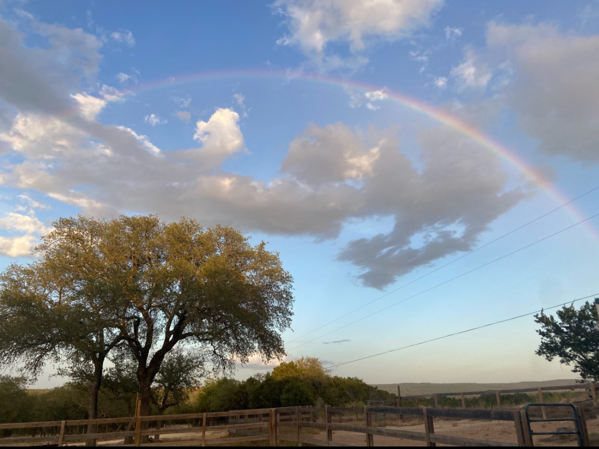 3487 Rust Spring Branch, TX 78070 - Photo 39 of 40