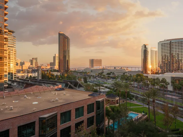 a room with furniture and a potted plant