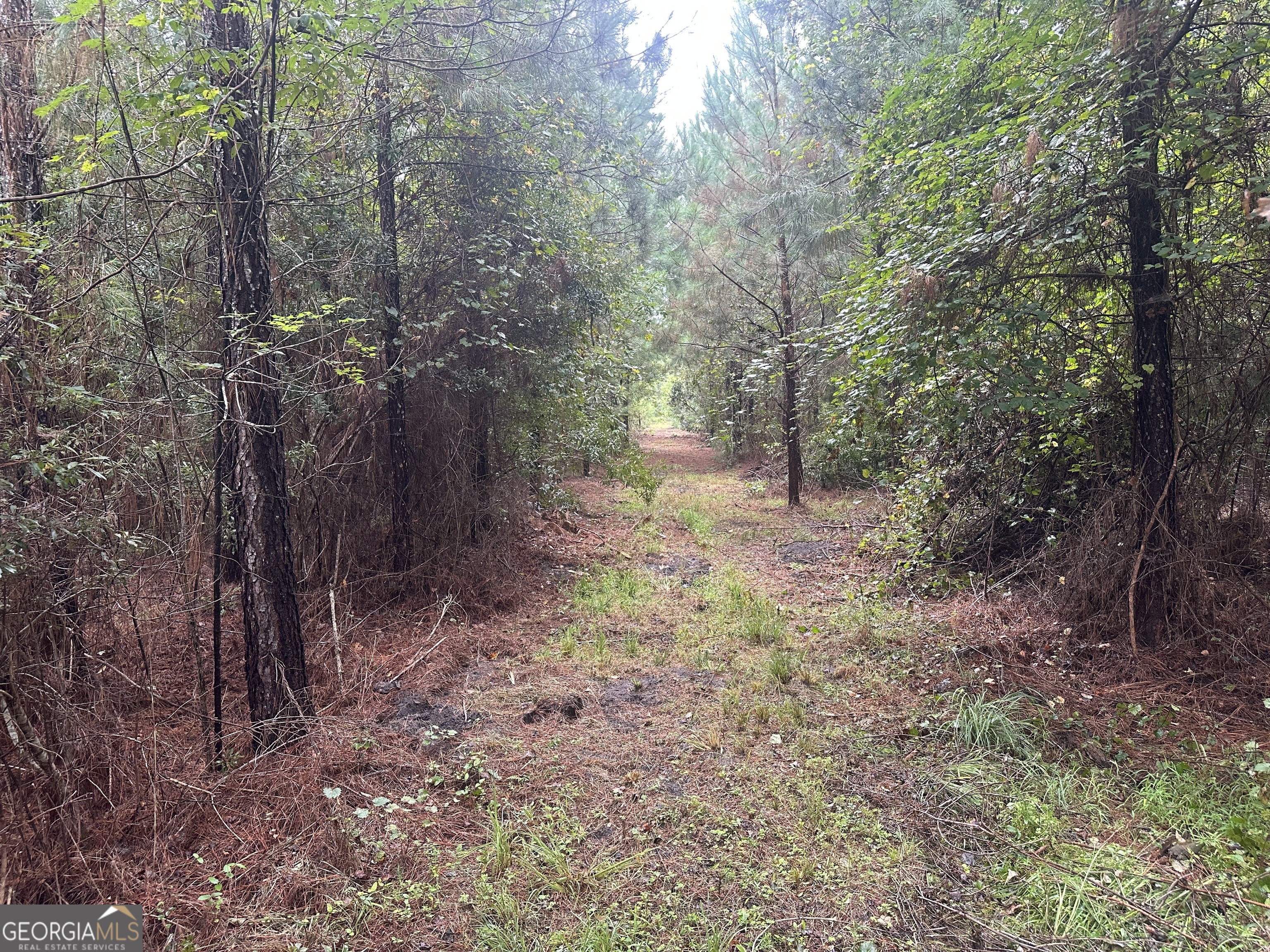 3302 Highway 67 Pembroke, GA 31321 - Photo 16 of 20
