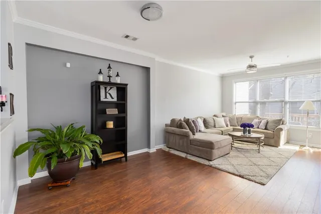 a living room with furniture potted plant and a window