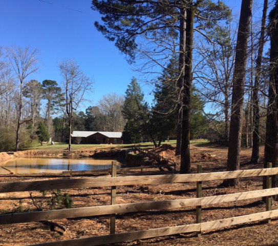 529 Bluff Springs Road Gloster, MS 39638 - Photo 1 of 1 Main View