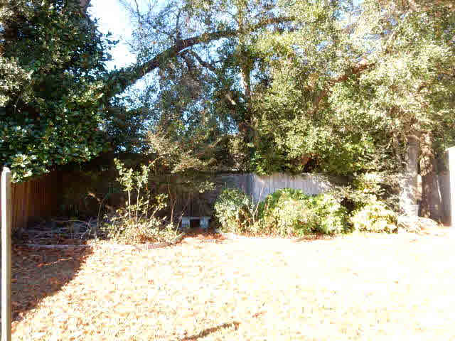 13035 Concord Drive East Lillian, AL 36549 - Photo 21 of 22