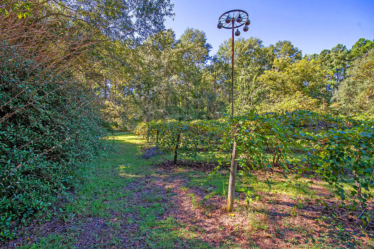 526 Smoak Road Walterboro, SC 29488 - Photo 36 of 38 CREM_526 Smoak_012