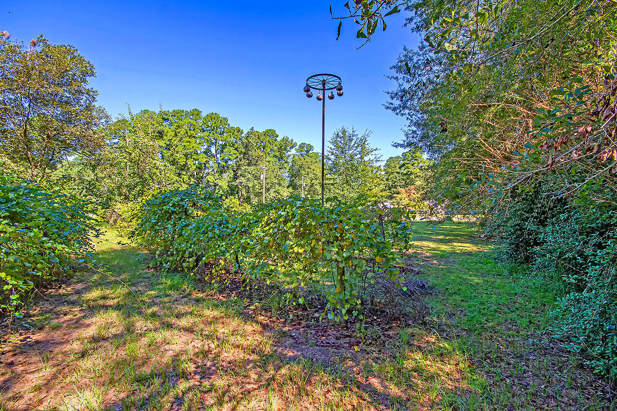 526 Smoak Road Walterboro, SC 29488 - Photo 37 of 38 CREM_526 Smoak_013