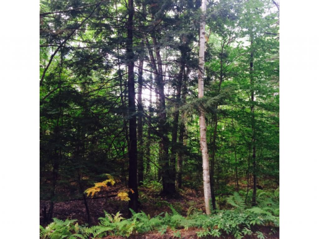 Lot 12-4 Upper Straw Road Hopkinton, NH 03229 - Photo 1 of 2