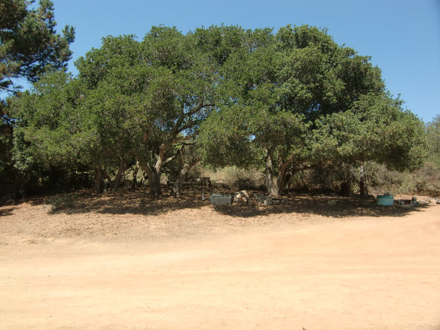 9080 Coker Road Salinas, CA 93907 - Photo 15 of 16 Gallery Image 15