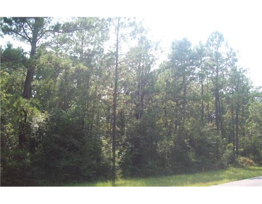 Lot 6 Lot Road Richton, MS 39476 - Photo 3 of 8 Additional Photo
