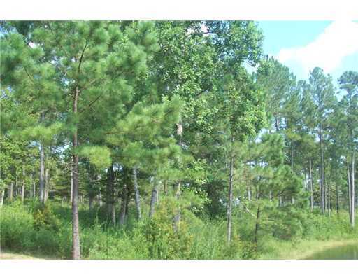 Lot 6 Lot Road Richton, MS 39476 - Photo 4 of 8 Additional Photo