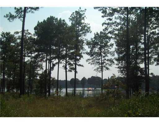 Lot 6 Lot Road Richton, MS 39476 - Photo 5 of 8 Additional Photo