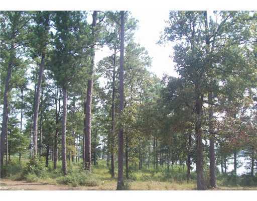 Lot 6 Lot Road Richton, MS 39476 - Photo 6 of 8 Additional Photo