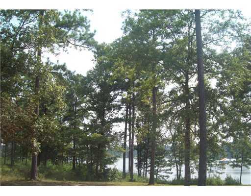 Lot 6 Lot Road Richton, MS 39476 - Photo 7 of 8 Additional Photo
