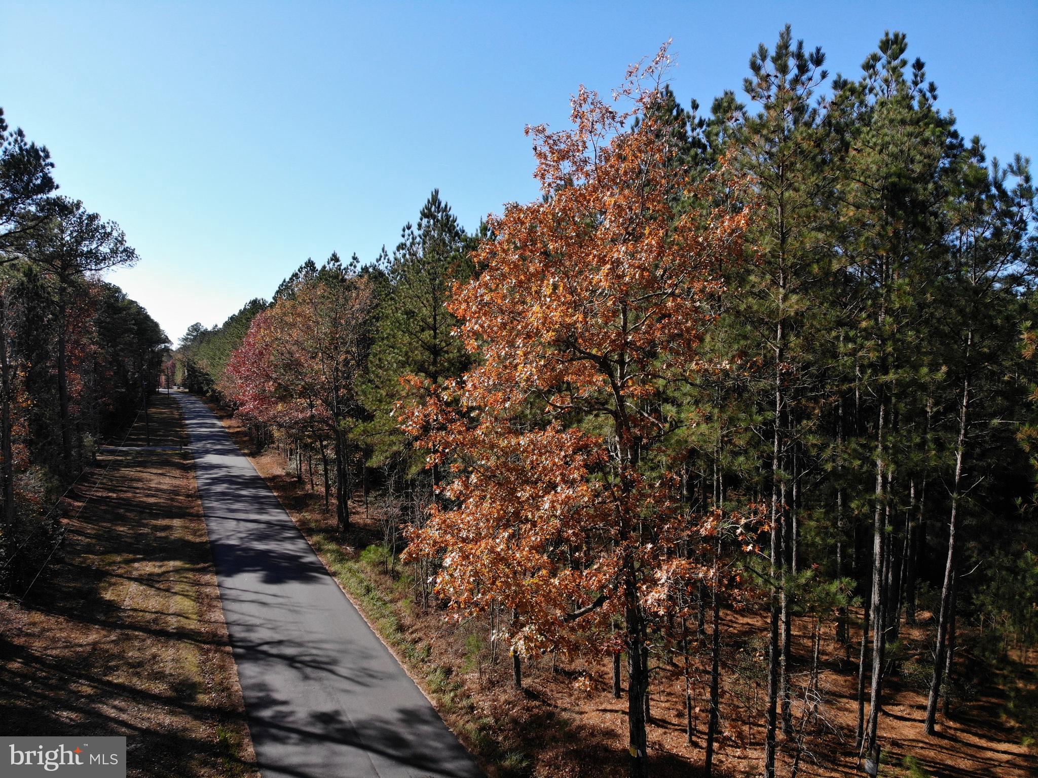 0 Pole Run Road Disputanta, VA 23842 - Photo 11 of 18 a view of a yard with wooden fence and trees