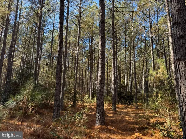 a view of outdoor space and green space