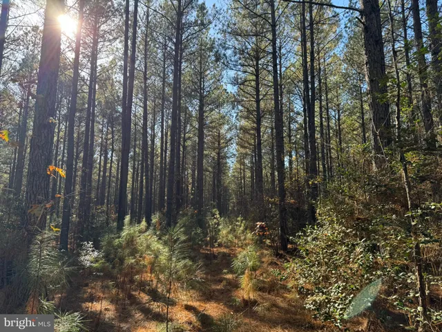 a view of outdoor space with trees