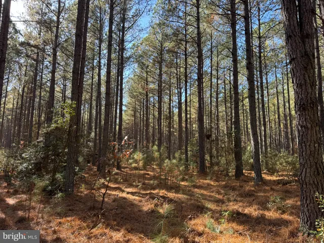 a view of a small yard