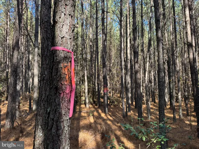 $195,000 | 0 Pole Run Road, Disputanta, VA 23842