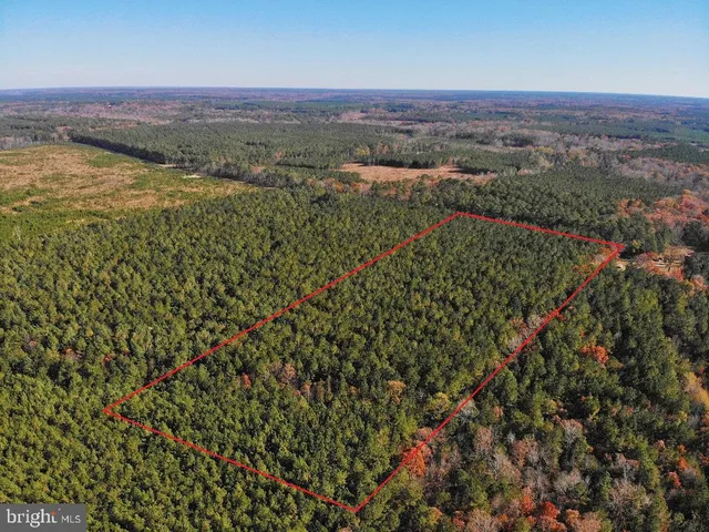 a view of a green field