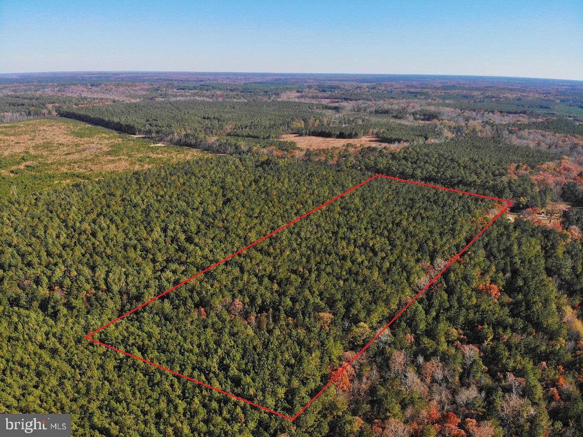 0 Pole Run Road Disputanta, VA 23842 - Photo 4 of 18 an aerial view of a houses with a yard