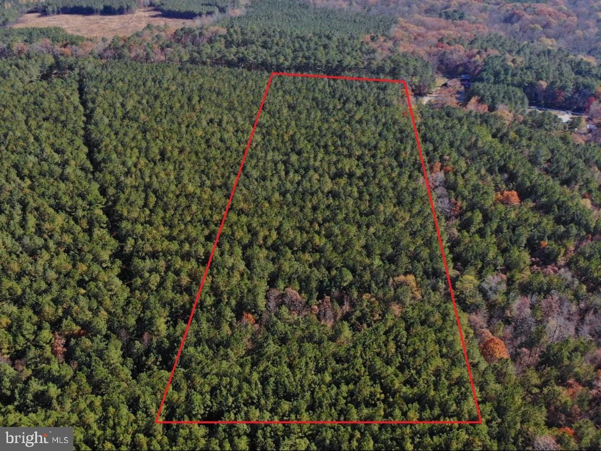 0 Pole Run Road Disputanta, VA 23842 - Photo 5 of 18 a view of a green field