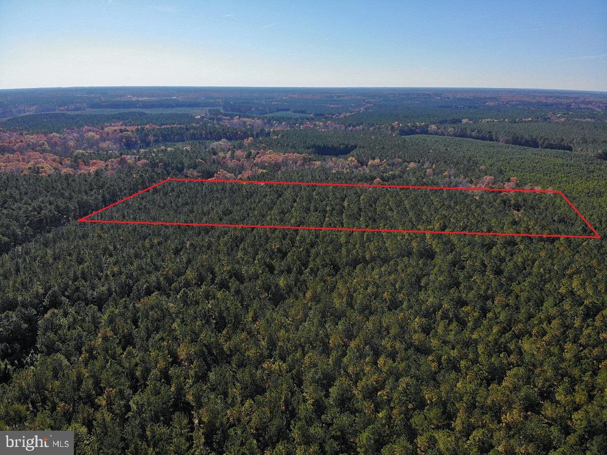 0 Pole Run Road Disputanta, VA 23842 - Photo 8 of 18 an aerial view of a houses with a yard and lake view