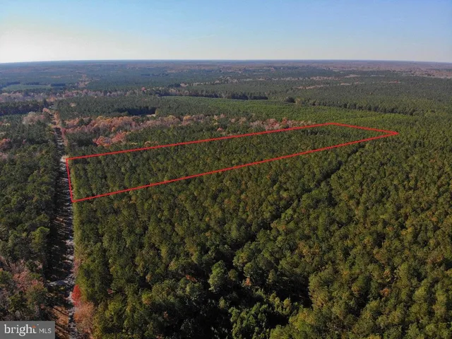 a view of a green field with lots of flower in it