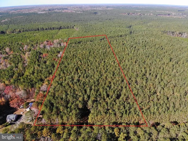 a view of a yard with wooden fence and trees