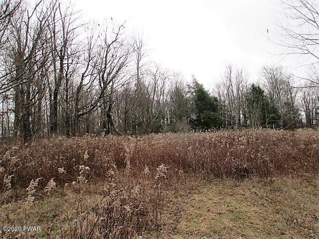 276 Goose Pond Road Lake Ariel, PA 18436 - Photo 5 of 11