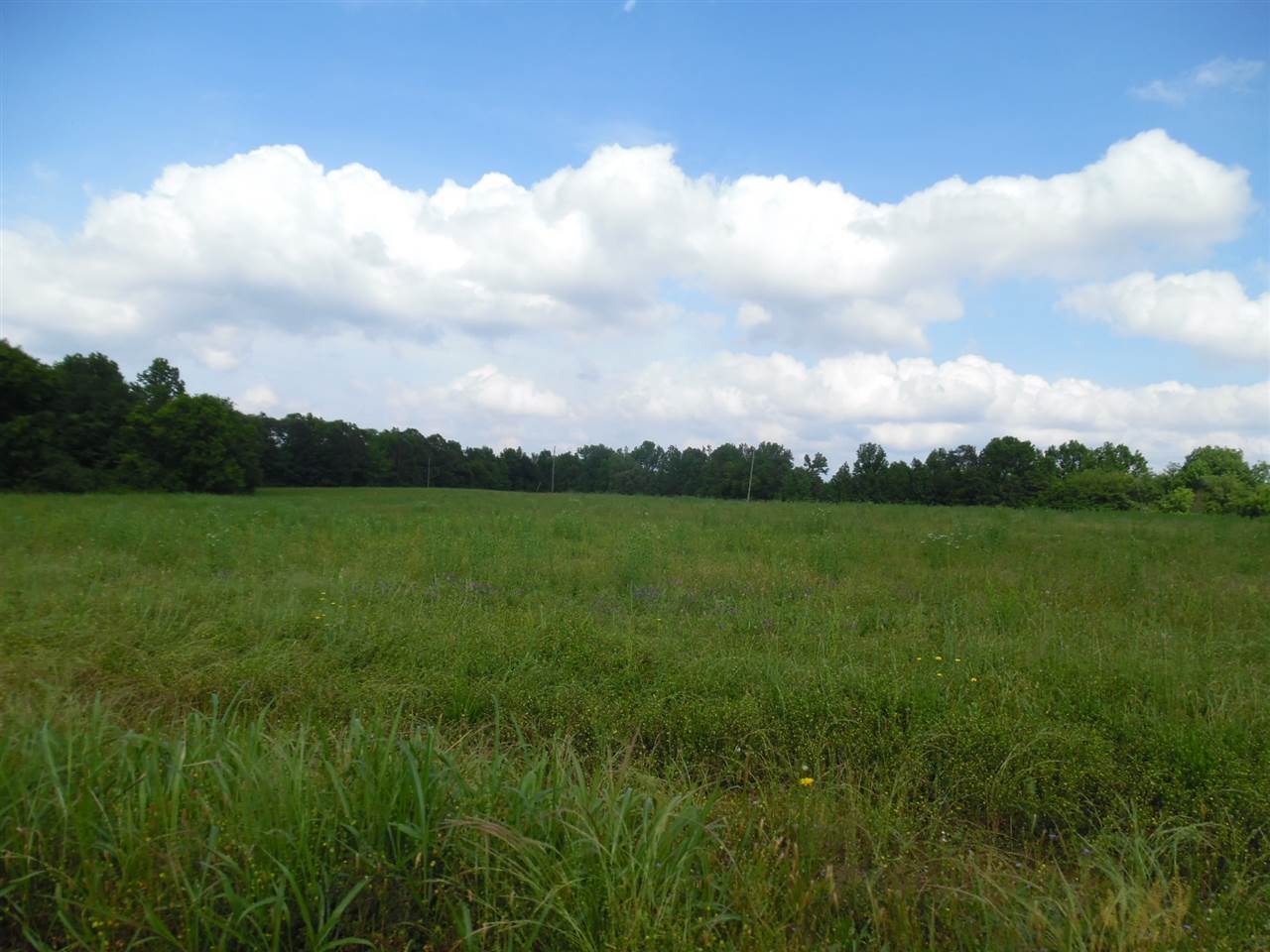 27-a27b Daytona Road Adamsville, TN 38310 - Photo 11 of 25 Gallery Image 11