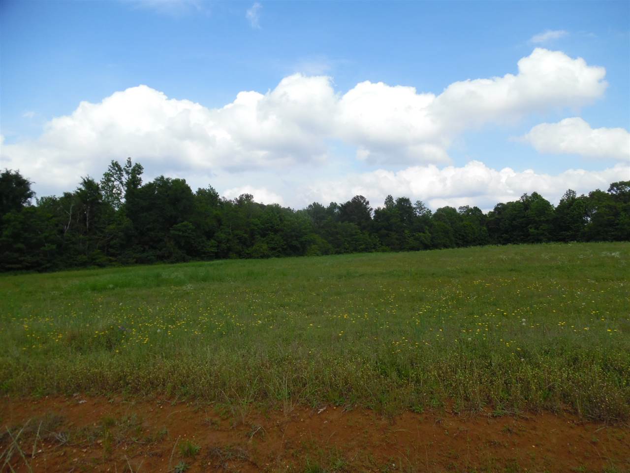 27-a27b Daytona Road Adamsville, TN 38310 - Photo 13 of 25 Gallery Image 13