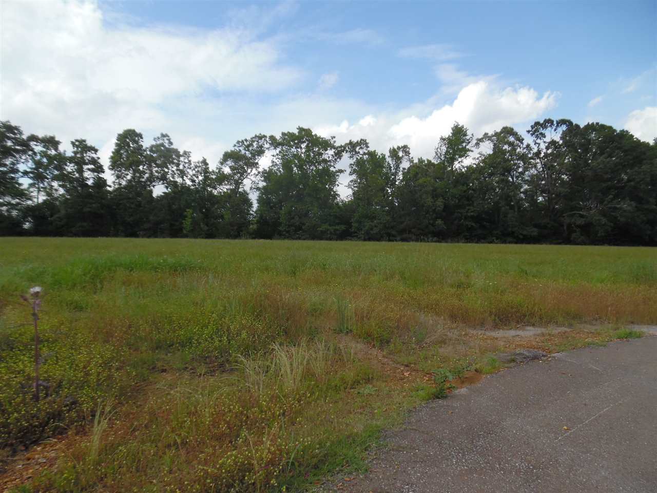 27-a27b Daytona Road Adamsville, TN 38310 - Photo 18 of 25 Gallery Image 18