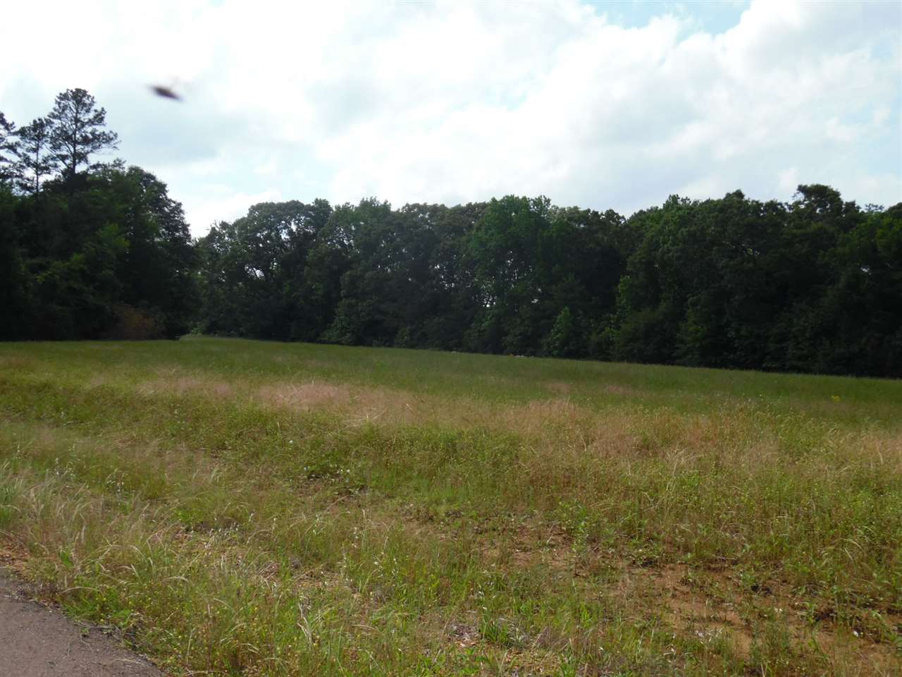 27-a27b Daytona Road Adamsville, TN 38310 - Photo 21 of 25 Gallery Image 21