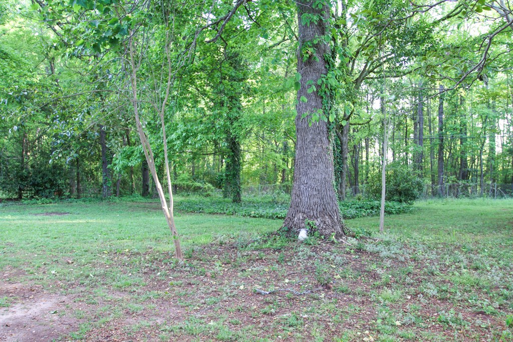 208 Dublin Road Greenwood, SC 29646 - Photo 3 of 16 Gallery Image 3