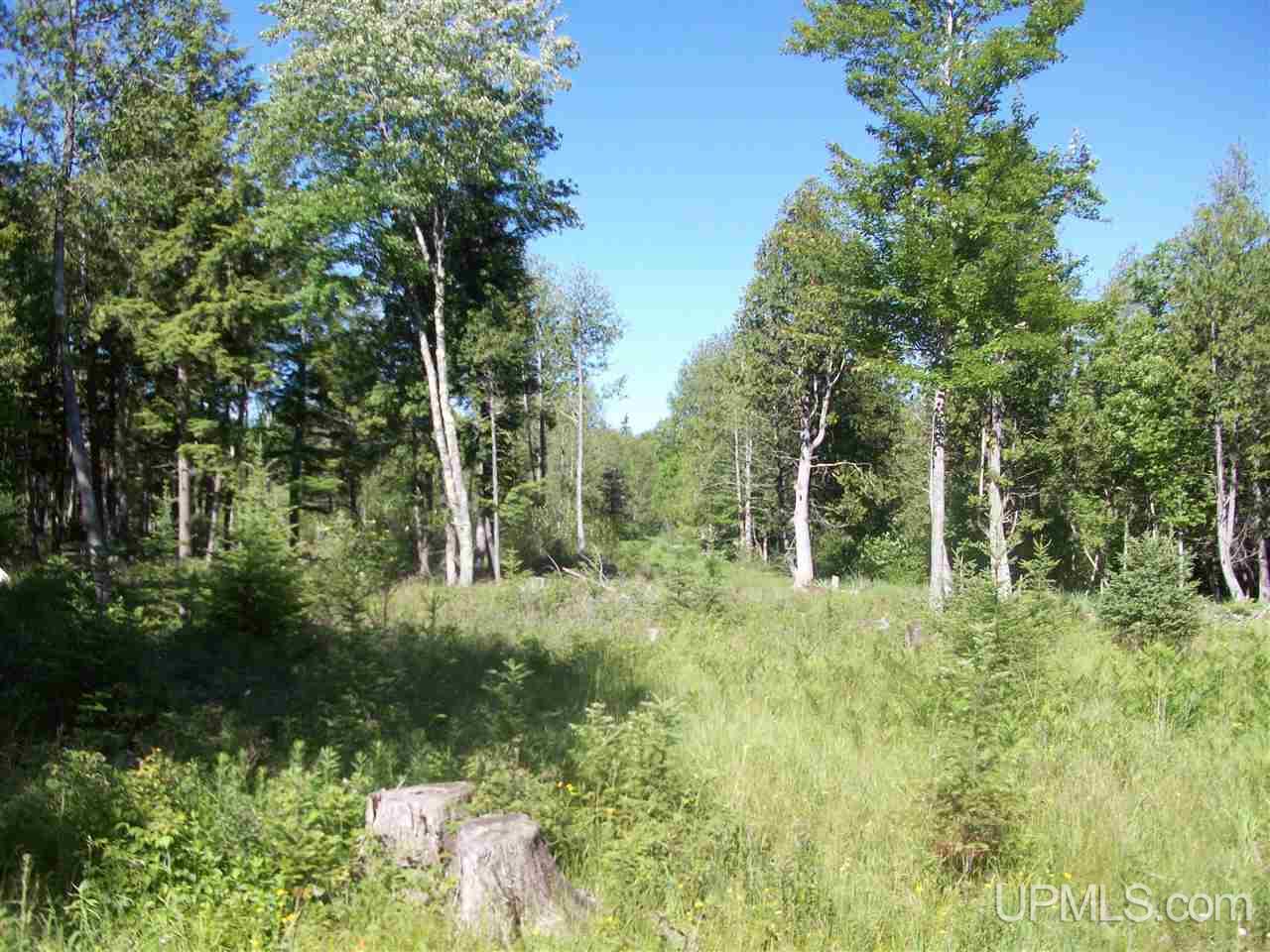 N18011 Oro Road Powers, MI 49874 - Photo 14 of 34 Gallery Image 14