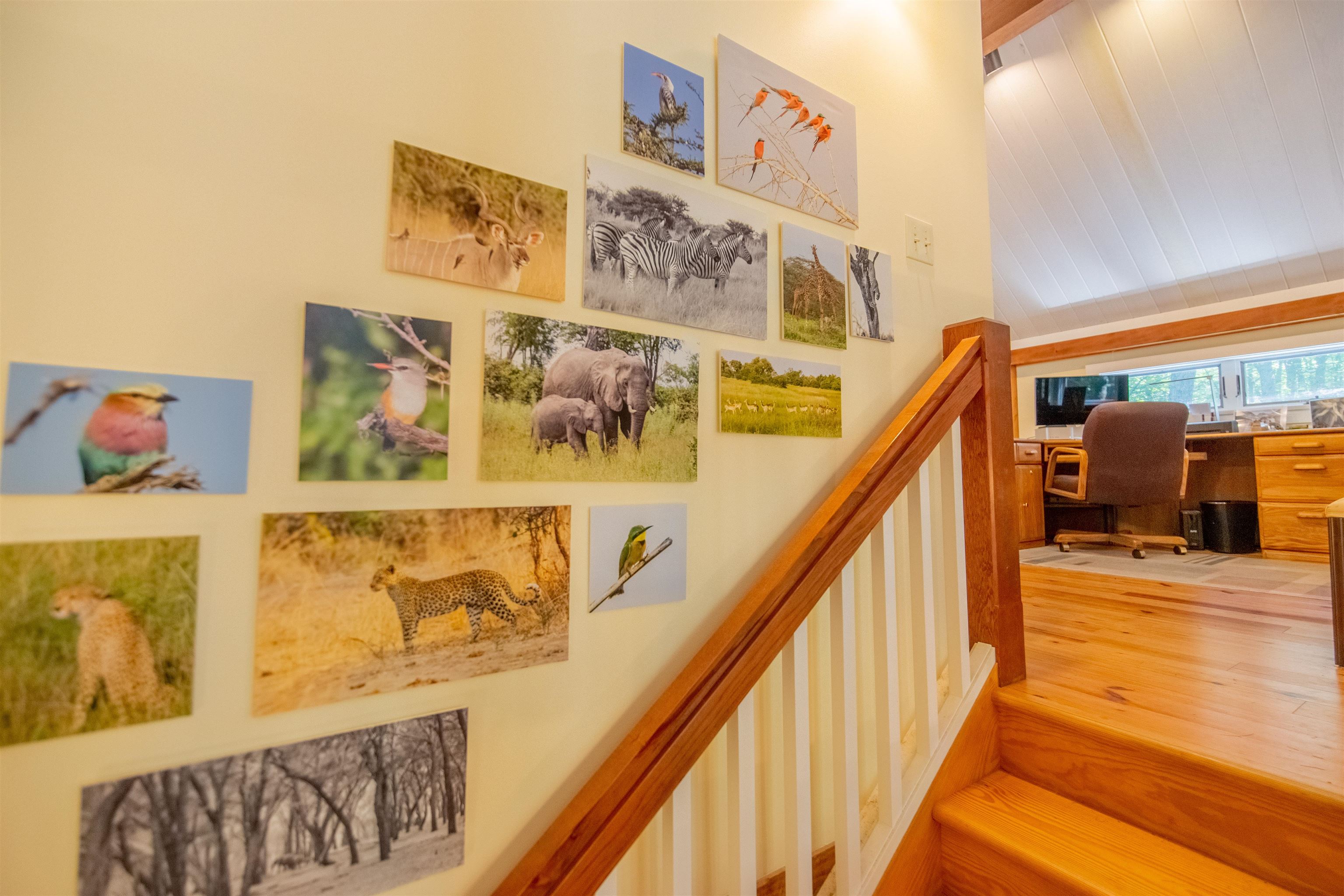 898 Bunker Hill Road Tamworth, NH 03883 - Photo 39 of 60