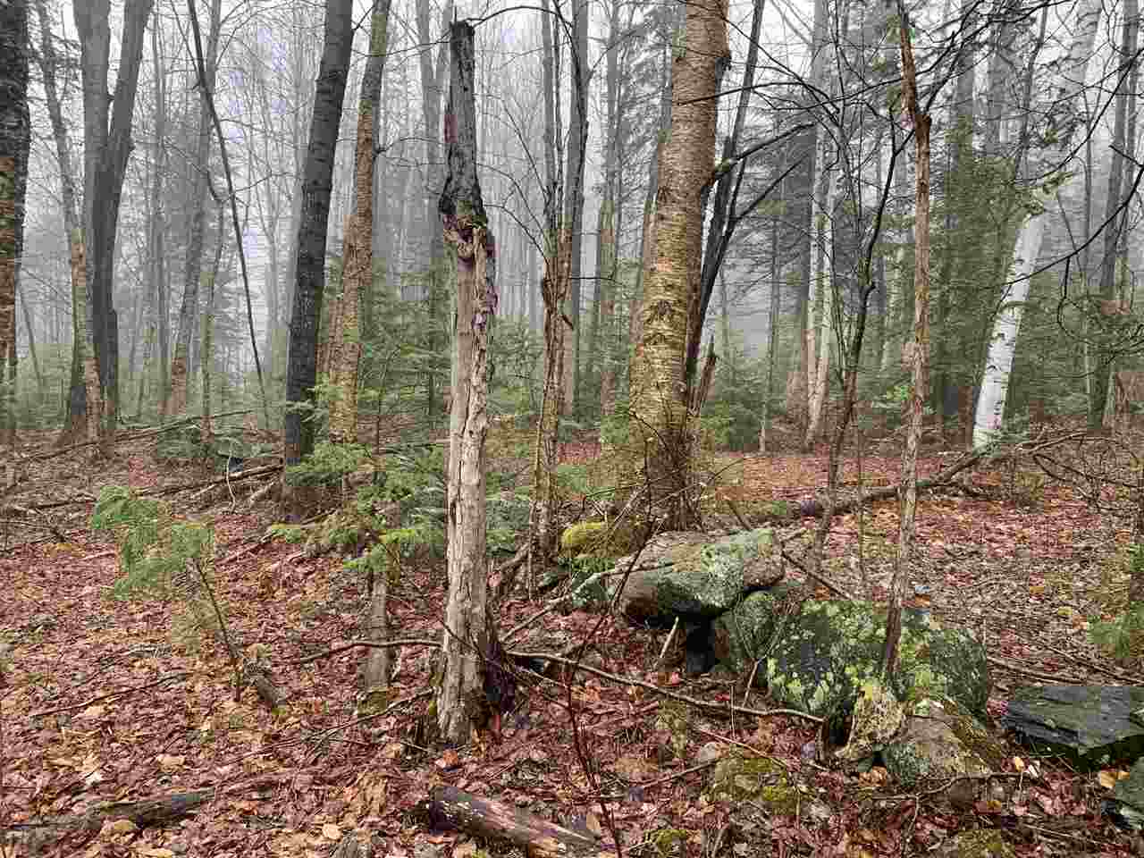 Map4-15b Jim Noyes Hill Road Landaff, NH 03585 - Photo 11 of 16