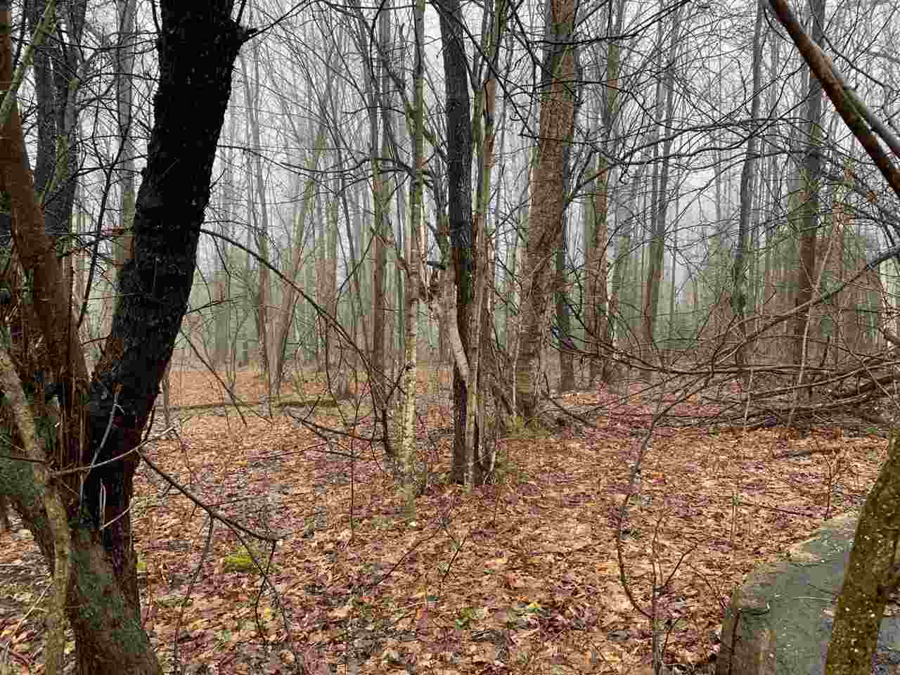 Map4-15b Jim Noyes Hill Road Landaff, NH 03585 - Photo 6 of 16