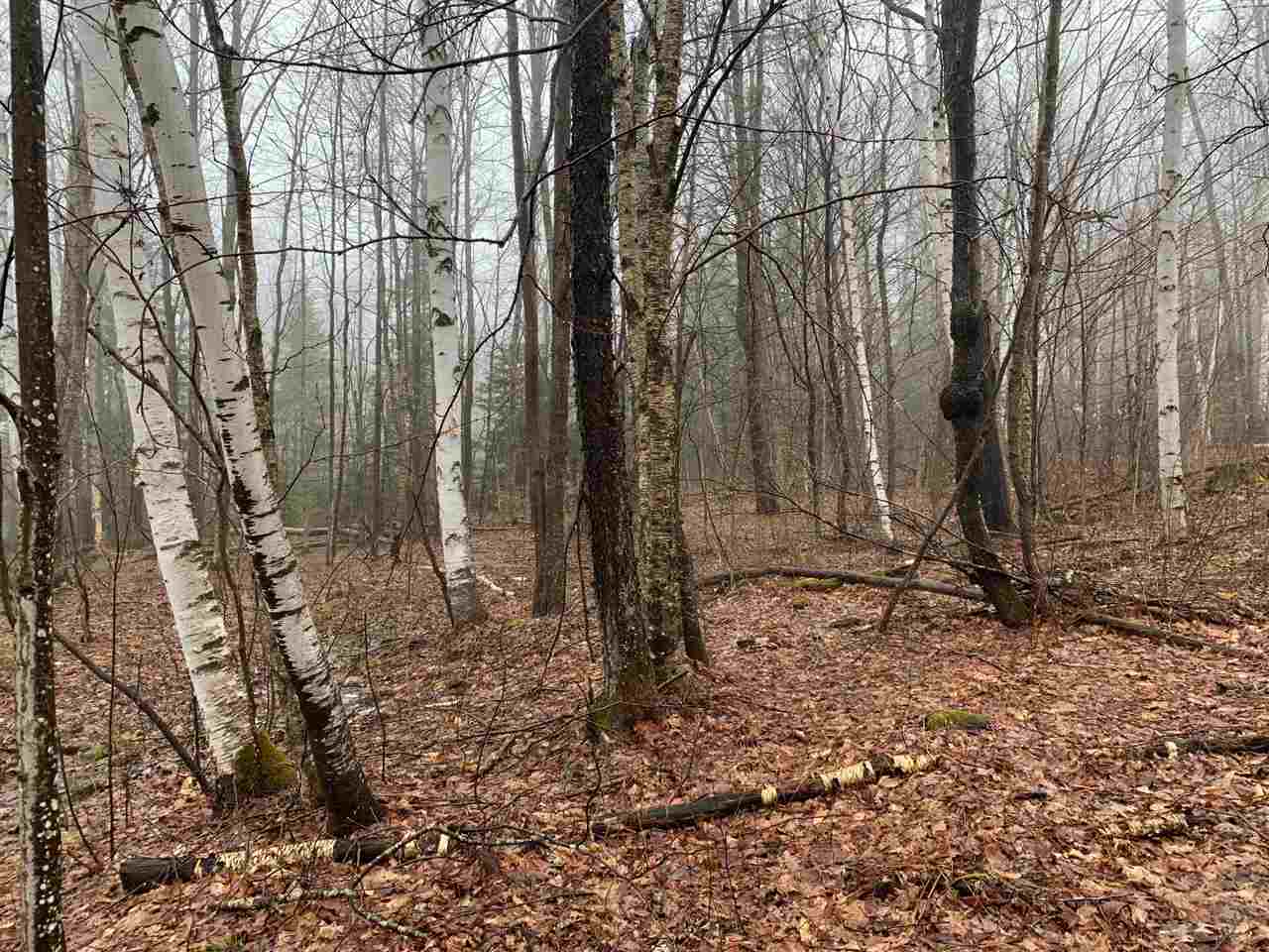 Map4-15b Jim Noyes Hill Road Landaff, NH 03585 - Photo 7 of 16