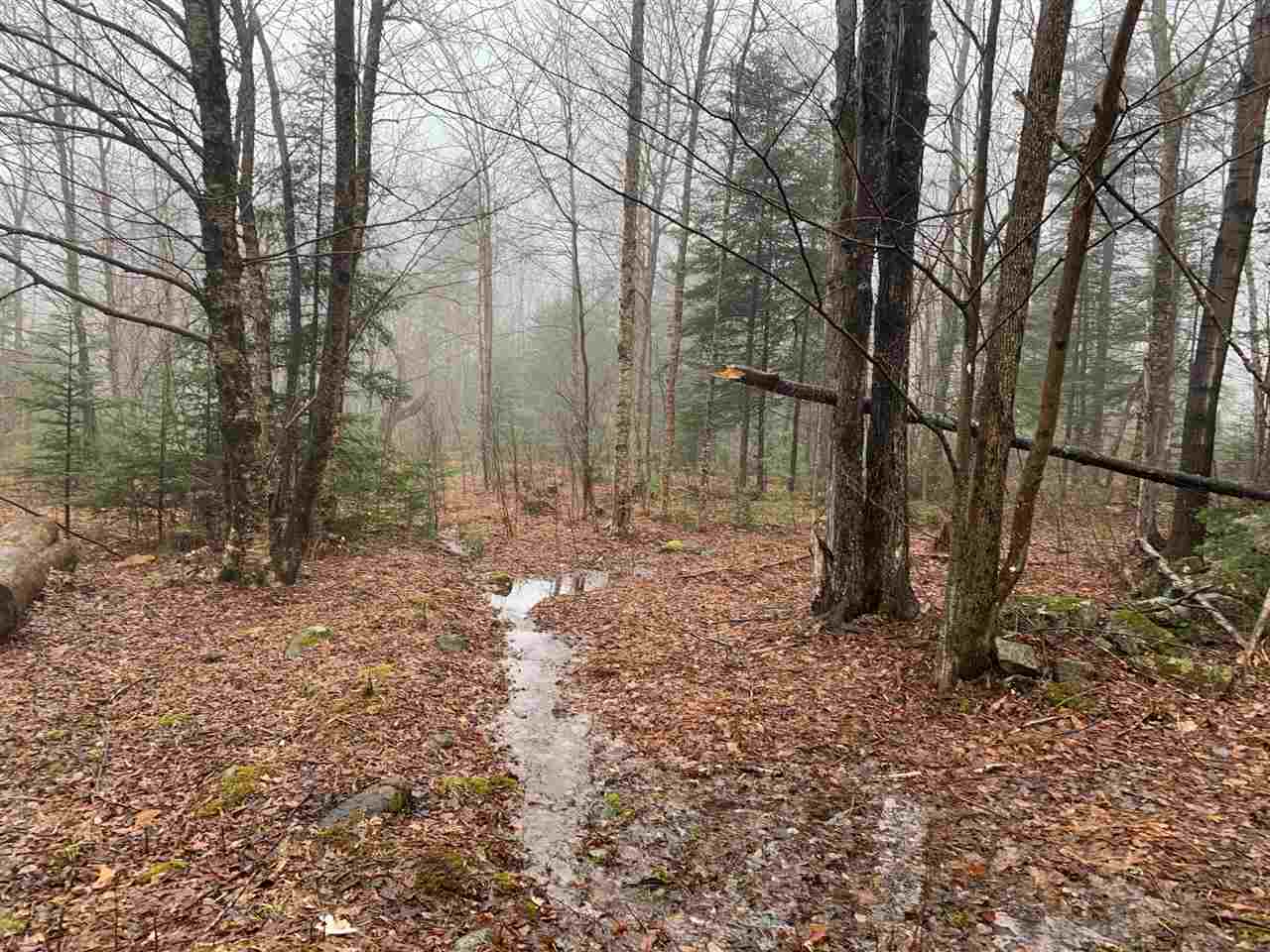 Map4-15b Jim Noyes Hill Road Landaff, NH 03585 - Photo 8 of 16