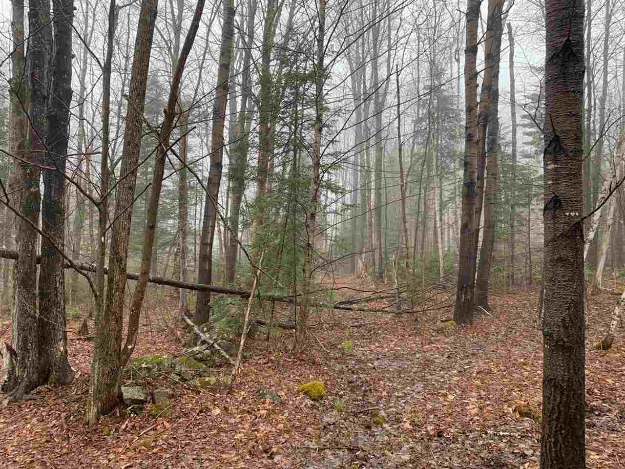 Map4-15b Jim Noyes Hill Road Landaff, NH 03585 - Photo 9 of 16