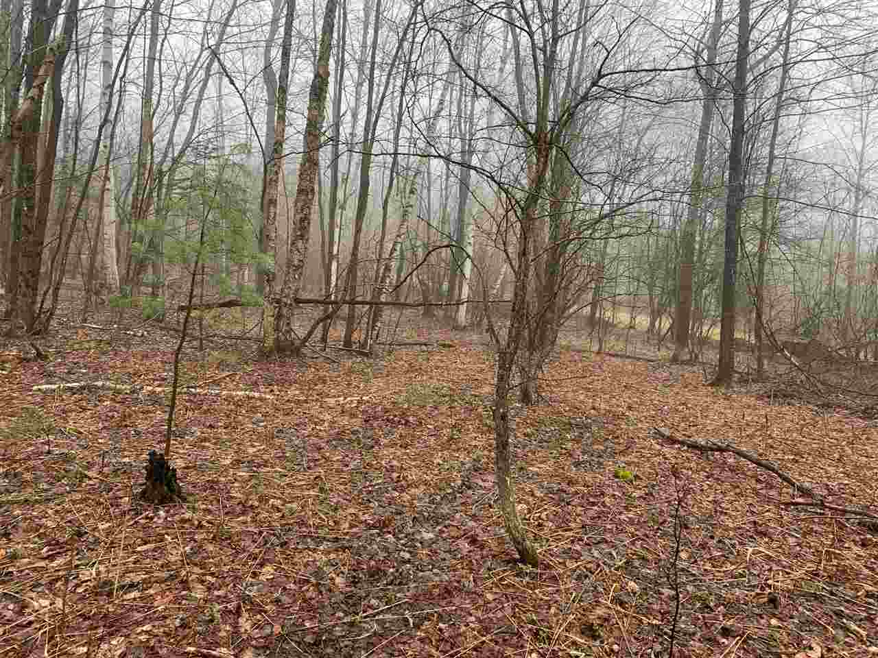 Map4-15b Jim Noyes Hill Road Landaff, NH 03585 - Photo 10 of 16