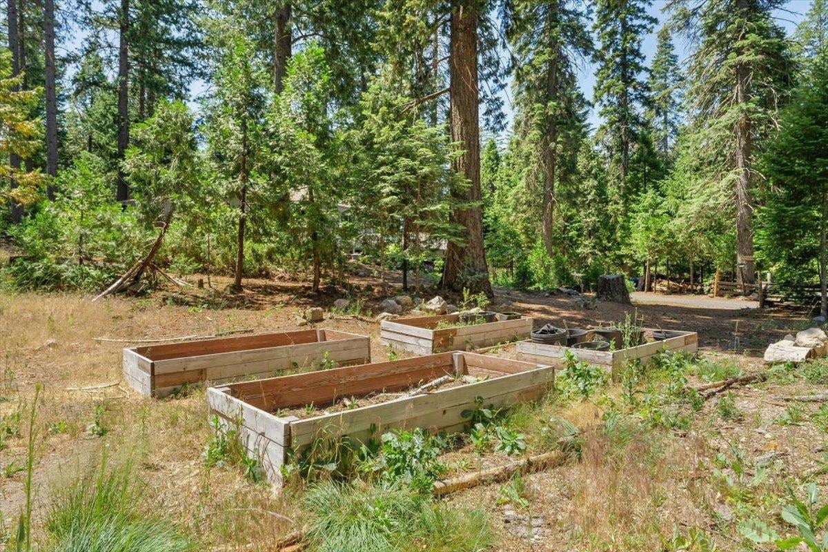 2209 Davis Place Road Mount Shasta, CA 96067 - Photo 25 of 29 Gallery Image 25
