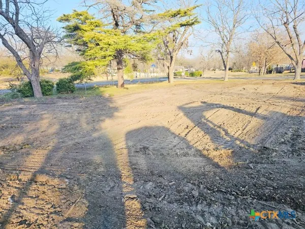 a view of yard with trees
