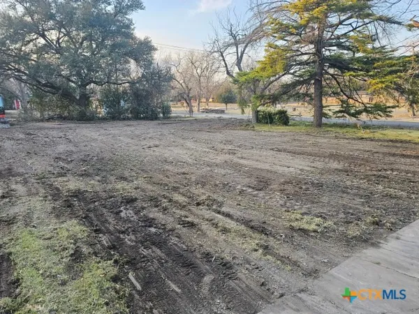 a view of dirt yard with a tree