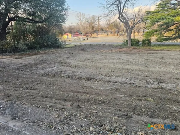 a view of dirt yard with a tree