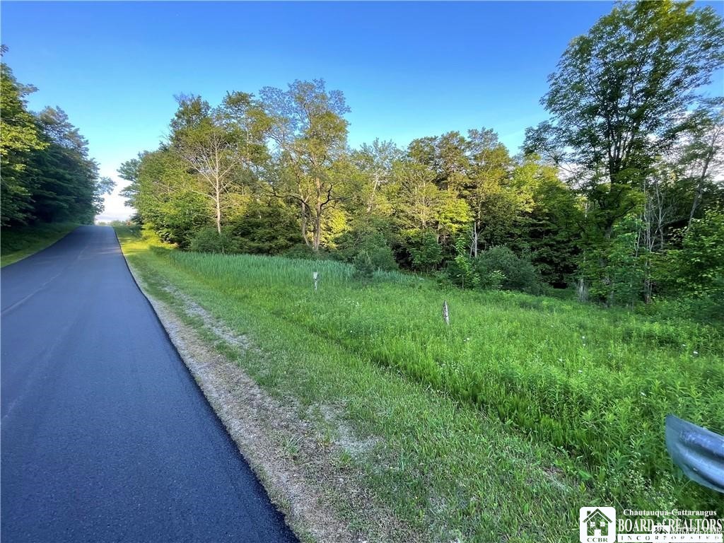 0 Luce Road Bemus Point, NY 14712 - Photo 4 of 39